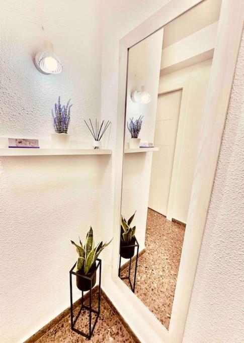 Citadella Apartment Sagunto Dış mekan fotoğraf